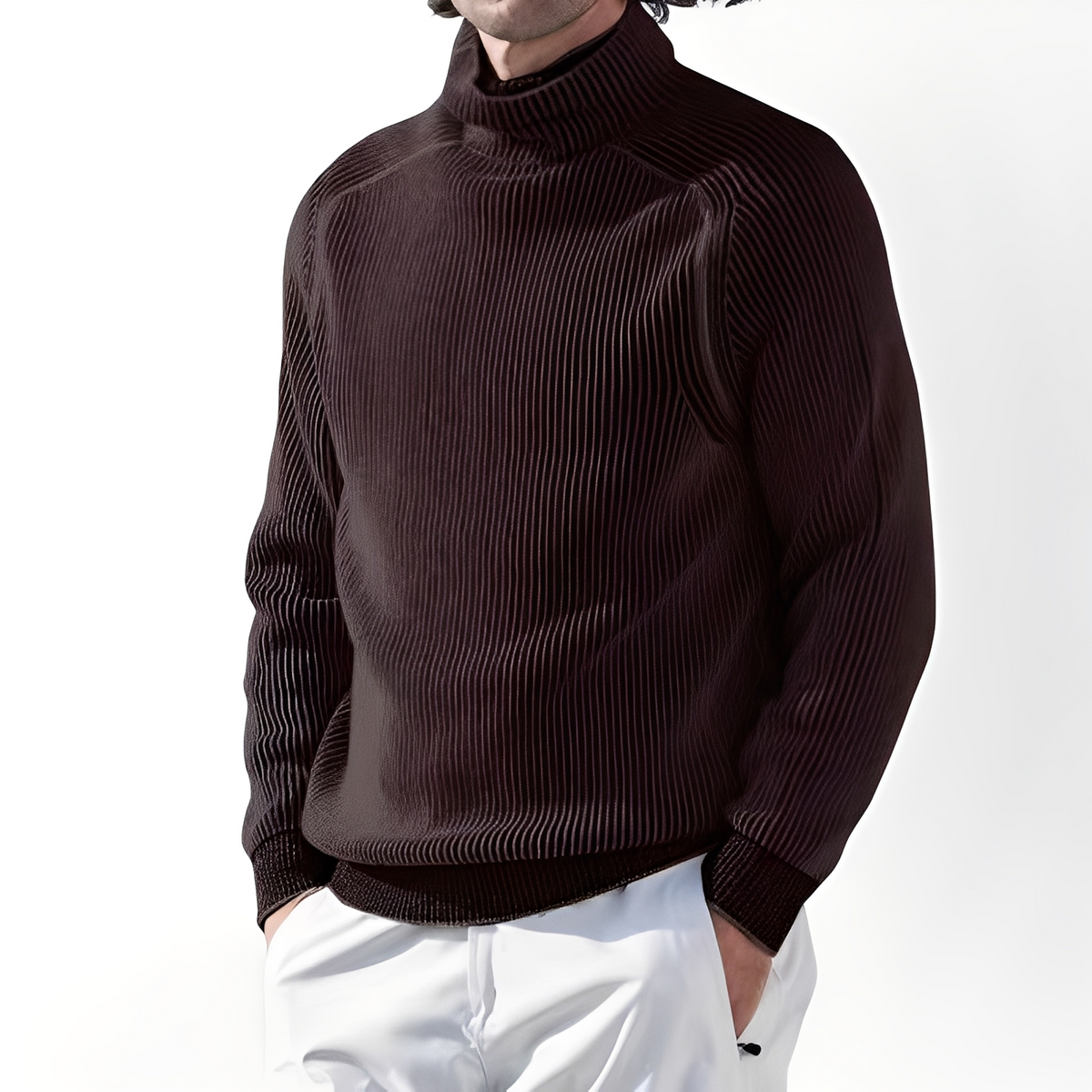 Jarrett - Stehkragenpullover